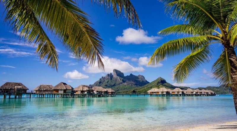 Bora Bora framed by palm trees